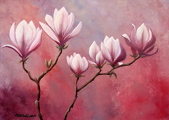 Małgorzata Mutor - Magnolie