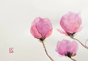 Artur Cieślar - Magnolias