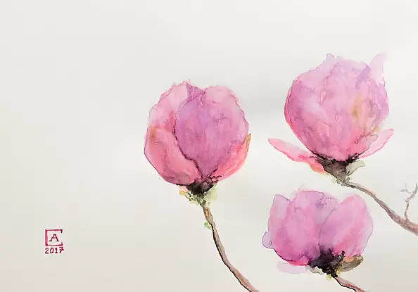 Artur Cieślar - Magnolie