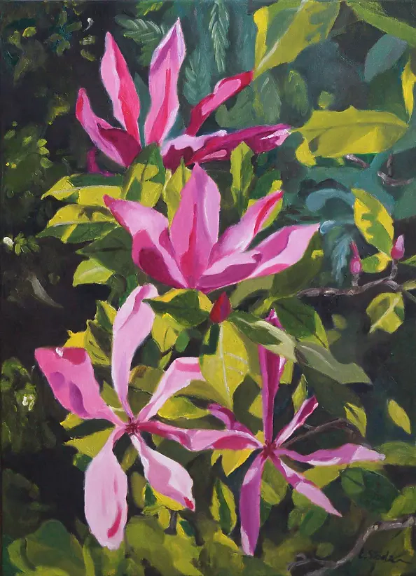 Ewa Słodzińska - Magnolie