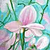 Katarzyna Madej - Magnolias