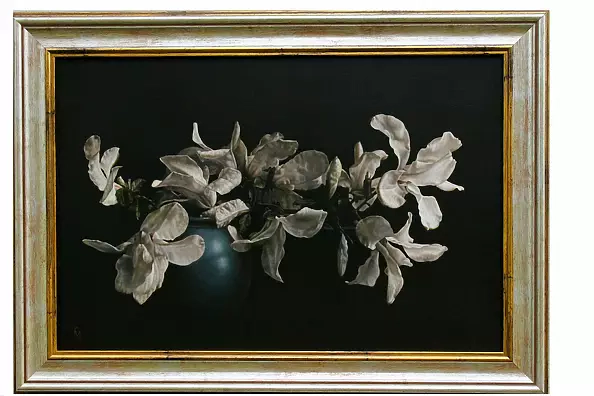 Maciej Cichocki - Magnolias