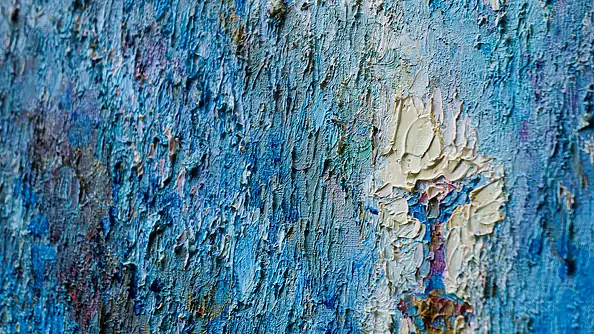 Andrey Chebotaru - Maidan revolution