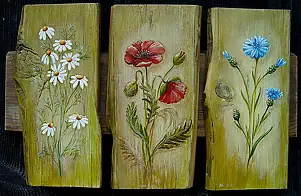 Katarzyna Niemczak - The May meadow