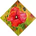 Magdalena Bronakowska - poppy seed