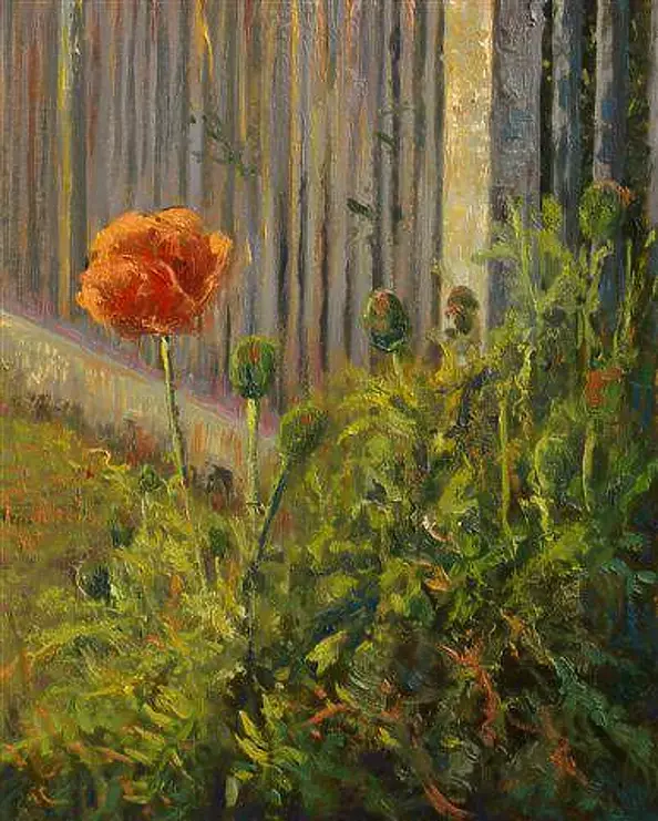 Wojciech Górecki - Poppy the fence