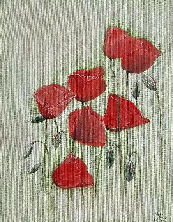 Aleksandra Kurzyńska - Charming poppies in summer