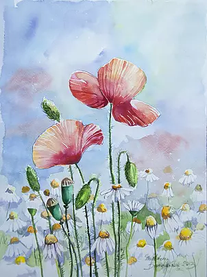 Magdalena Bronakowska - Maki i rumianki