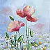 Magdalena Bronakowska - Coquelicots et Camomille