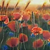 Karolina Majer - Poppies and sunset