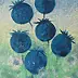 Joanna Adamek - Poppies