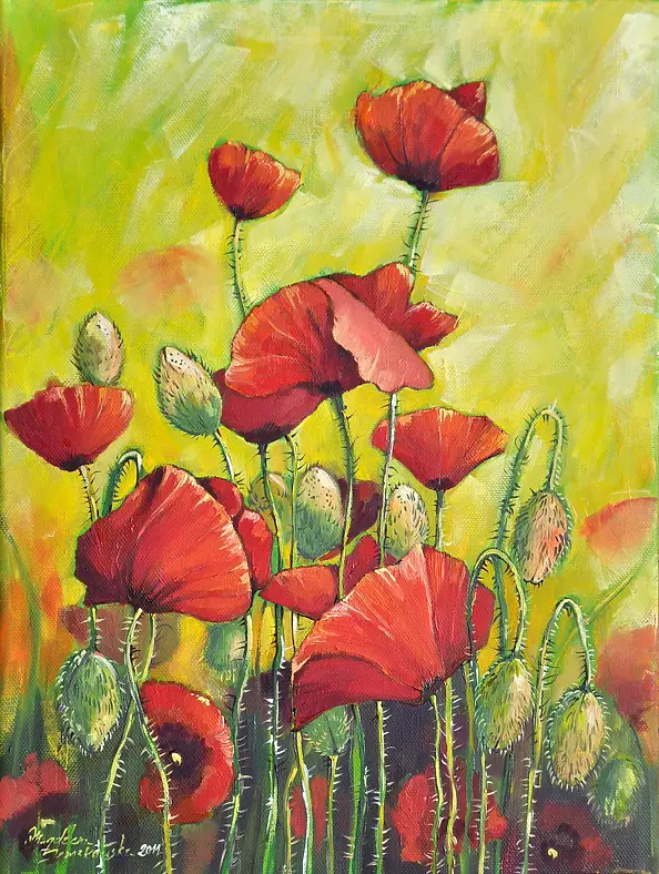 Magdalena Bronakowska - Maki