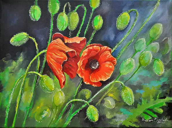 Magdalena Bronakowska - Maki