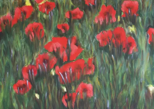 Małgorzata Baranowska - Maki