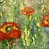 ANNA MECHLIŃSKA - poppy flowers