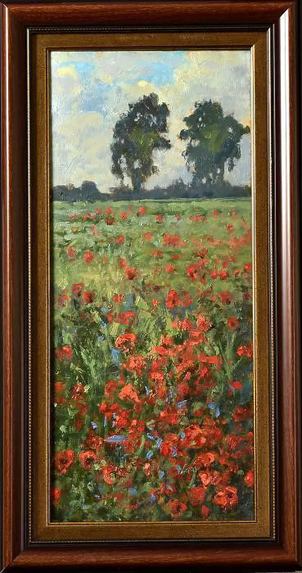 Wojciech Górecki - Maki in Żuławy fields