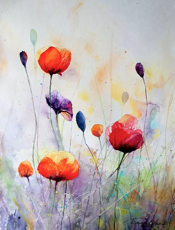 Tomasz Olszewski - Poppies
