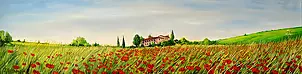 Adam Piotr Rutkowski - Tuscan Poppies