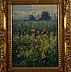 Wojciech Górecki - Poppies in Jędrzychowice