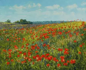 Wojciech Górecki - Poppies in Szadółki