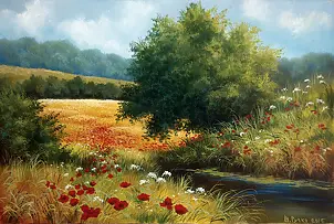   -   Poppies near the river.