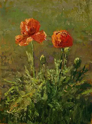 Wojciech Górecki - Maki