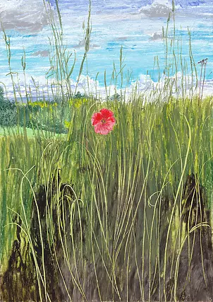 Angelika Mus Nowak - Poppy Lady from główkąw clouds