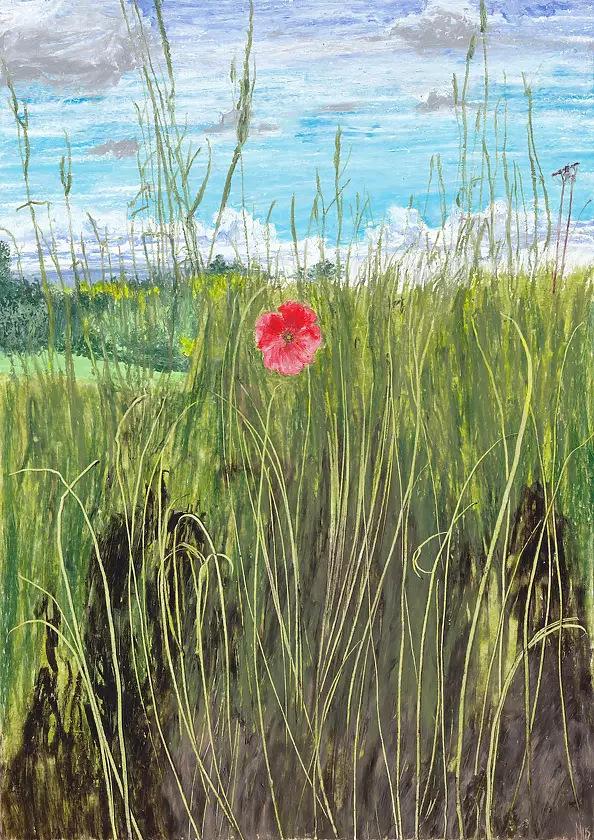 Angelika Mus Nowak - Poppy Lady from główkąw clouds