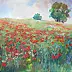 Agnieszka Nizegorodcew - poppy meadow
