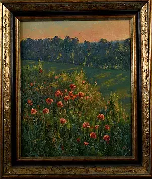Wojciech Górecki - Poppy impressions at