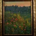 Wojciech Górecki - Poppy impressions at