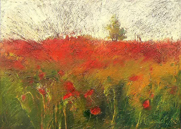 Marta Sobczak Pietoń - campo di papaveri