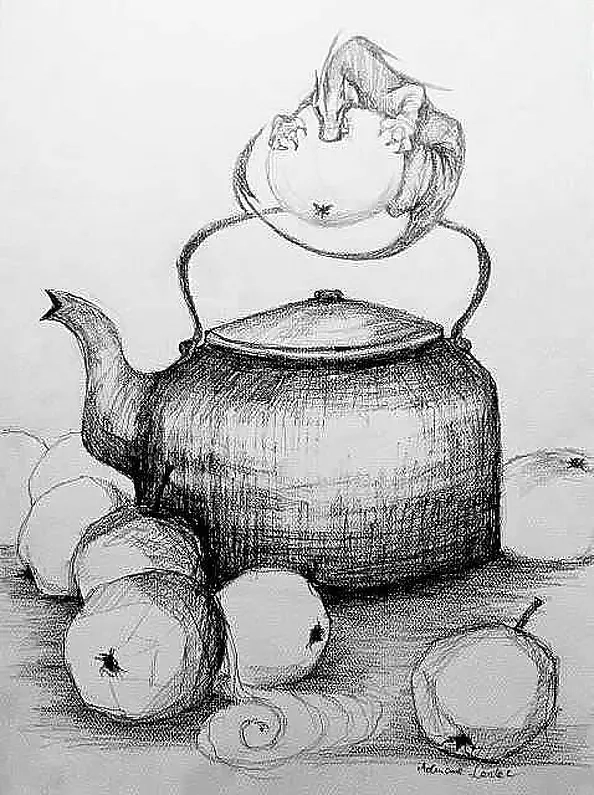 Adriana Laube - Malinówki