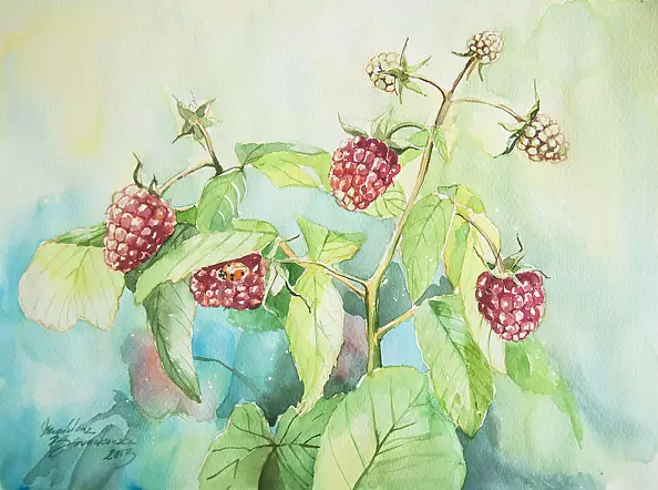 Magdalena Bronakowska - Raspberries