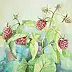 Magdalena Bronakowska - Raspberries