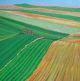 Piotr Surma - Lesser Poland fields