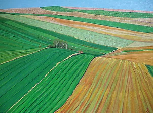 Piotr Surma - Lesser Poland fields