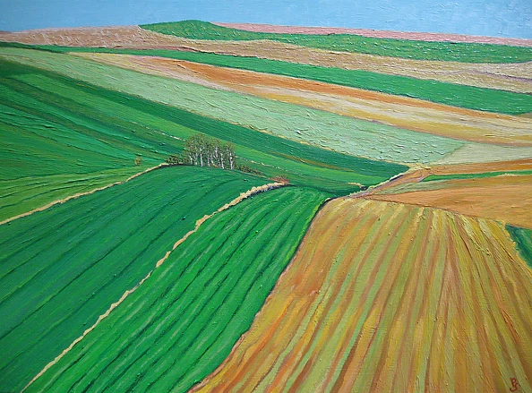 Piotr Surma - Małopolskie pola