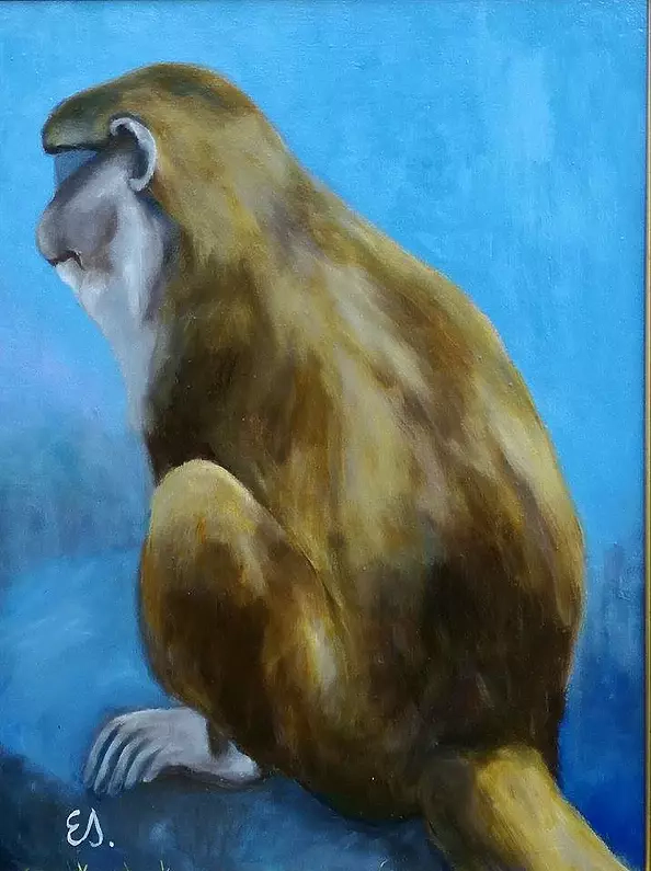 Ewa Lidia Sokołowska - Monkey