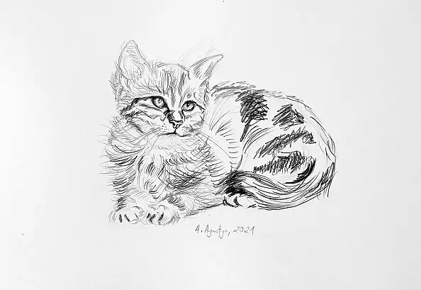 Amelia Augustyn - Maluch