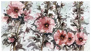 Barbara Wiewiórska - Mallows