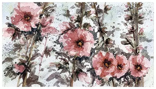 Barbara Wiewiórska - Mallows