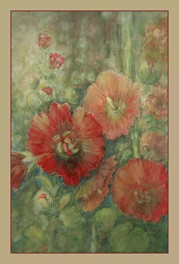 Zofia Świat - Mallows