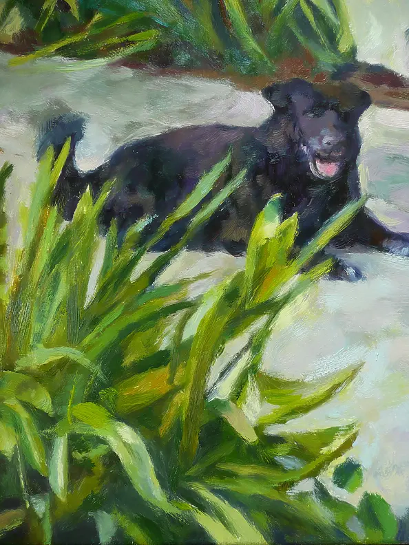 Barbara Gulbinowicz - Mappa