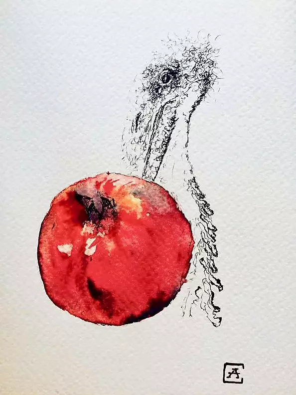 Artur Cieślar - Marabou with a grenade