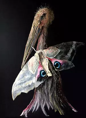   - Marabou with butterfly