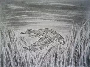 Marianna Małgorzata Bakanowicz - Marcel in travel-2008