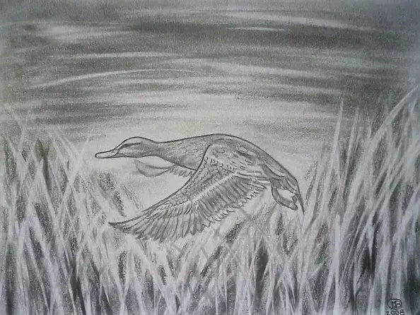 Marianna Małgorzata Bakanowicz - Marcel in travel-2008