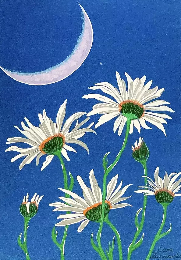 Ewa Zakrzewska - Margaretki