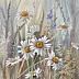 Lidia Olbrycht - Daisies Meadow